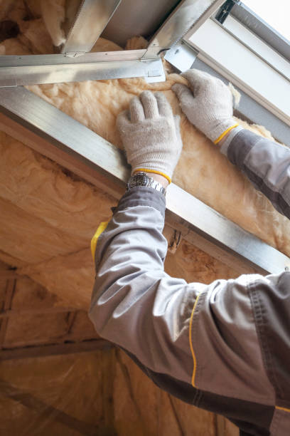 Best Fiberglass Insulation  in Hamilton, MT