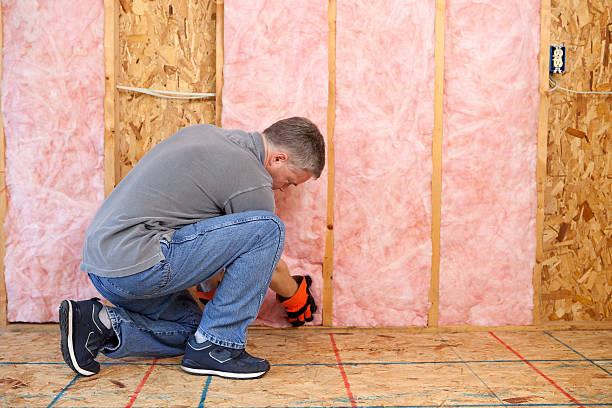 Insulation Repair Services in Hamilton, MT